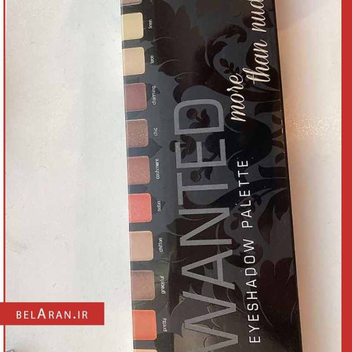 پالت سایه چشم آرت دکو-بلاران artdeco most wanted eyeshadow palette more than nude